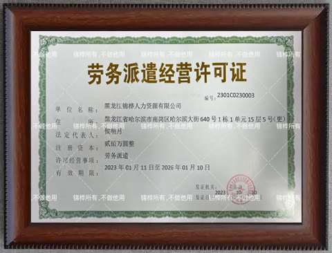 劳务派遣经营许可证